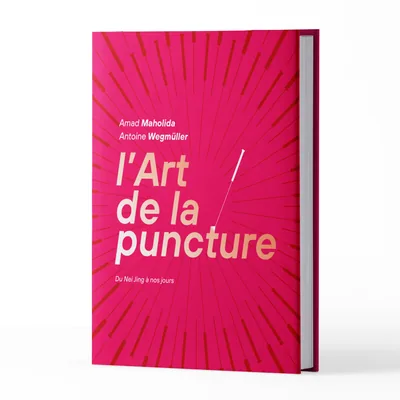 Livre (FR) L’Art de la puncture, du Nei Jing à nos jours