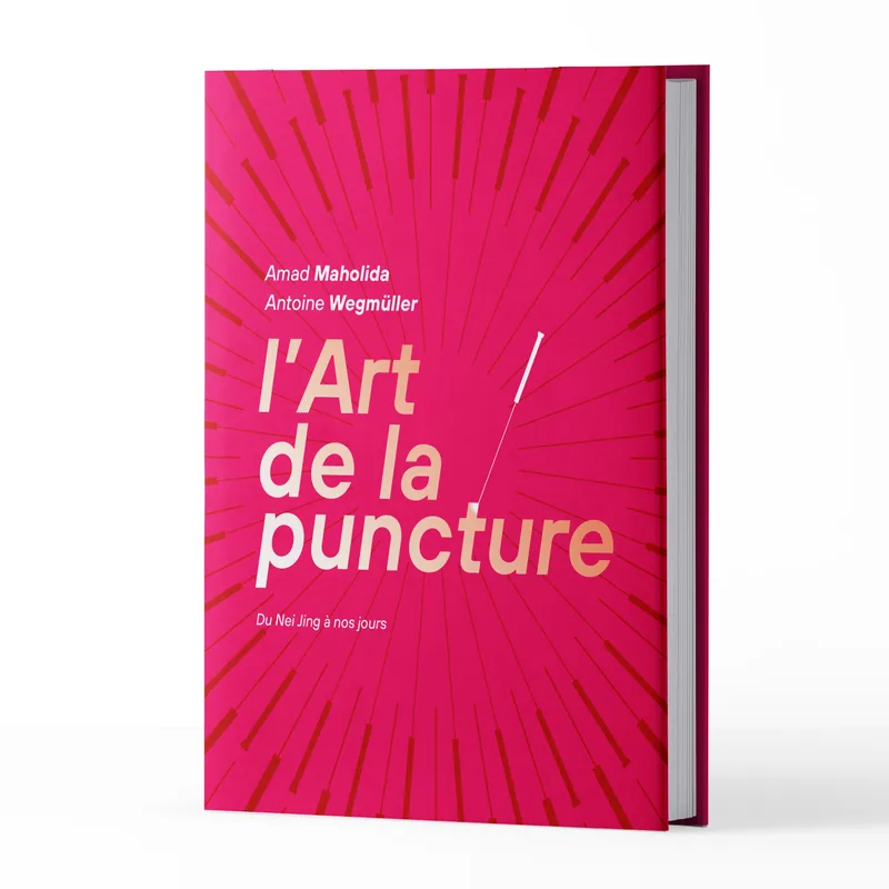Le livre L’Art de la puncture, recto et verso