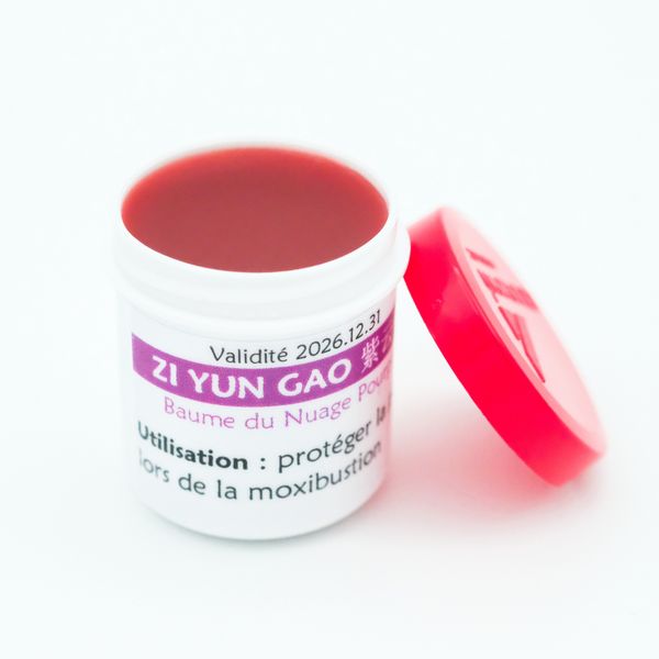 Pommade de protection pour la peau utilisée en moxibustion, à base d'Angélique et de Lithospermum, idéale pour apaiser et protéger la peau durant les soins.